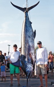 Staff photo by Emmy Errante.  Bill Blount and "Coverage" captain Hunter Blount stand next to the 821-pound blue marlin that they caught during the Cape Fear Blue Marlin tournament in Wrightsville Beach on Saturday, May 31.