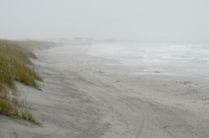 Staff photo by Allison Potter. Looking north from Public Access No. 4 at high tide Thursday afternoon.