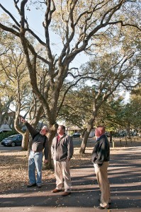 Staff photo by Allison Potter. Forester Richard Olson, left, points out cuts made on the live oaks to Wrightsville Beach town manager Tim Owens and police chief Dan House.