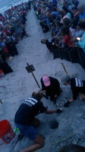 Volunteers excavate a sea turtle nest on Sept. 6. Staff photo by Terry Lane.