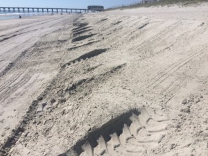 Wrightsville Beach public works employees used a front-end loader to smooth out escarpments north of Johnnie Mercer's Pier Oct. 8.