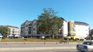 Trees lining Wrightsville Avenue in front of the new Grand View apartment development are removed on Friday, Nov. 13. Staff photo by Terry Lane.