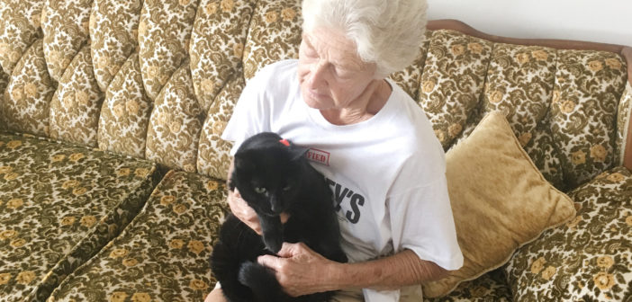 After nearly a month, missing cat found in neighbor’s wall